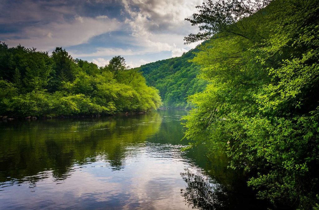 Lehigh River Watershed Fund Launched