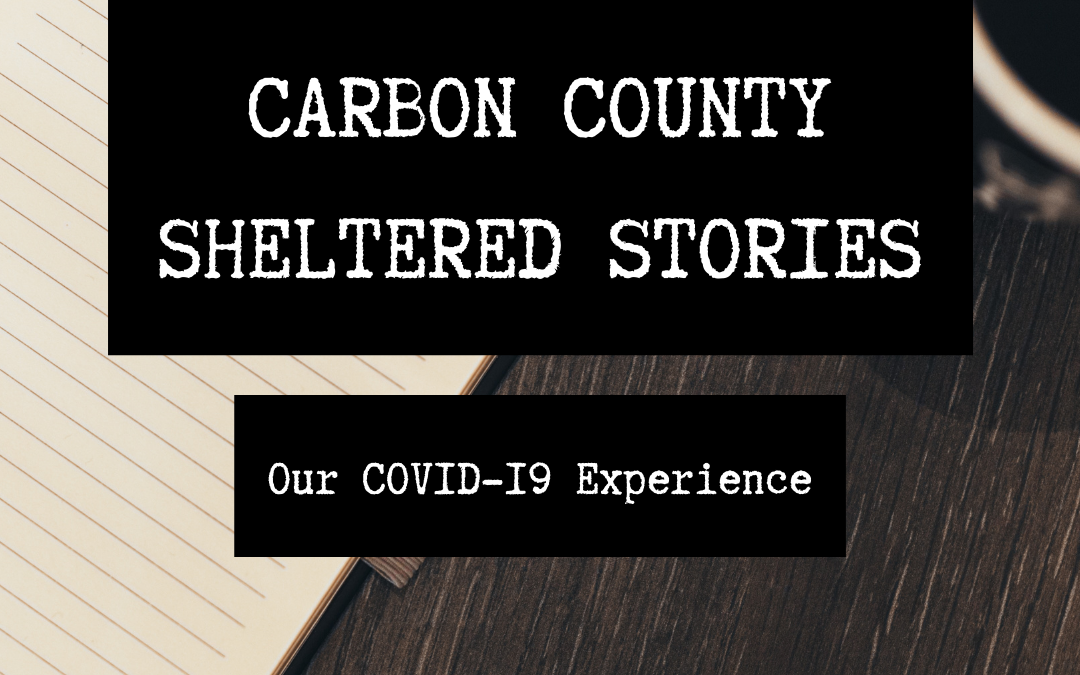 Celebrating Carbon County’s Libraries!